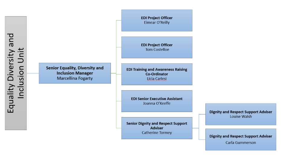 EDI team chart